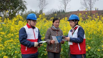 油菜花田“志愿红”   电力护航春耕忙