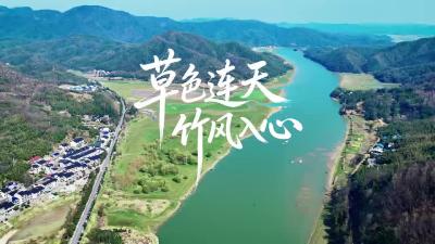 微视|崇阳：草色连天  竹风入心