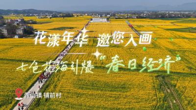 微视|崇阳：花漾年华 邀您入画 七色花海引爆“春日经济”