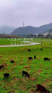 【微视】早安·大美崇阳