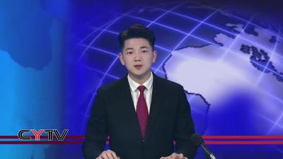 崇阳县中医院：总结表彰凝力量 “九大行动”谱新章