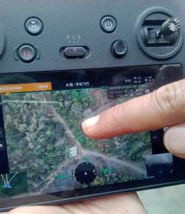 15只羊，全部回家！