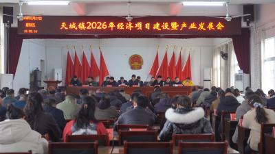 天城镇、白霓镇、石城镇认真贯彻落实县委经济工作会议精神