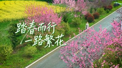 微视 | 踏春而行 一路繁花