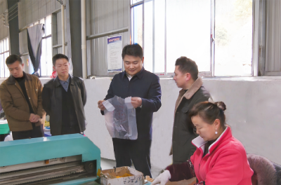 徐望赴路口镇调研产业发展工作：以产业兴旺绘就乡村振兴新“丰”景