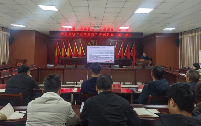 崇阳县桂花泉镇：以学促干践初心  实干担当树政绩