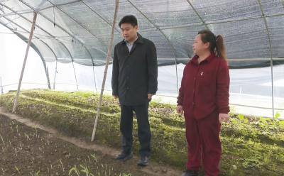 徐望深入金塘镇、高枧乡调研时强调：扶持返乡创业   做强特色产业