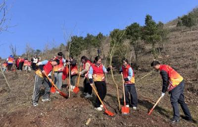 青春添新绿  不负好春光