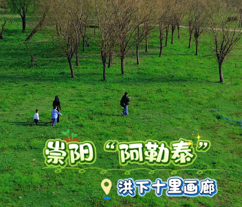 30秒沦陷｜崇阳洪下十里画廊，美到失语