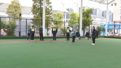 崇阳县庆“五一”门球赛活力开赛