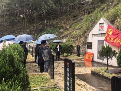 崇阳县桂花泉镇：风雨祭英烈  初心映丹心
