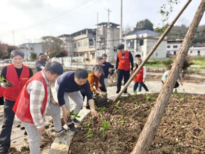 崇阳县港口乡：“清洁家园”齐发力  庭院“颜值”变产值