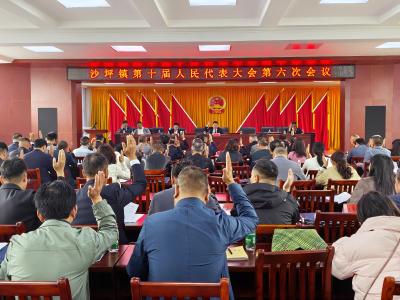 崇阳县沙坪镇：人大会议票决民生实事 部署代表行动助力绿色发展