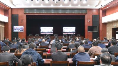 崇阳县收视收听全市集中整治群众身边不正之风和腐败问题工作领导小组（扩大）会议