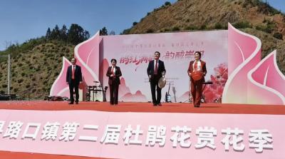 崇阳：花海深处听“农声”