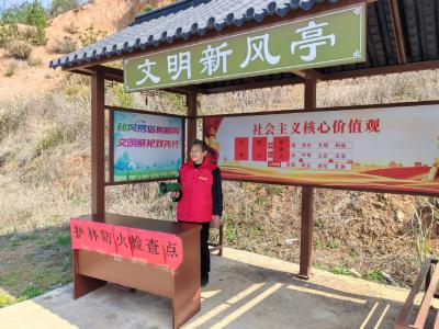 崇阳县青山镇：严守清明防火关  倡树文明新风尚