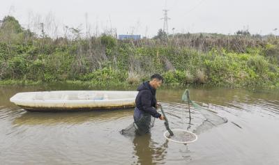 【你有好货 我来吆喝】崇阳县码头村头茬小龙虾抢“鲜”上市