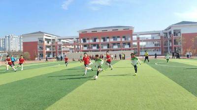 全国青少年校园足球特色学校，崇阳+1！