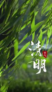 微视 | 一岁一清明 一念一追思