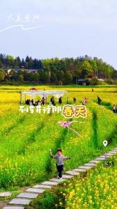 【微视】早安·大美崇阳