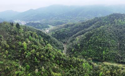 崇阳县首个生态警务联勤工作站落户桂花林场  筑牢生态屏障护航绿色发展
