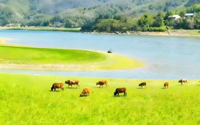 【桃溪文艺】吴梅芳：在崇阳阿勒泰发呆