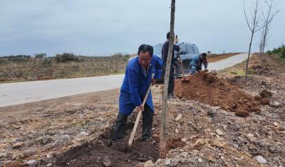 崇阳县汉兴村：产业路串起致富梦