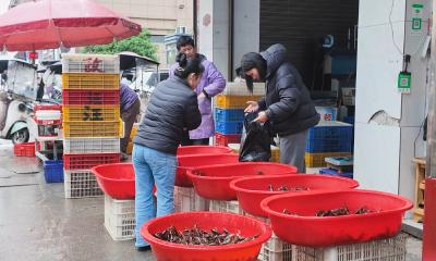 崇阳：五一“虾”意浓！平价鲜香点燃节日消费热潮