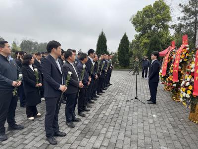 崇阳县天城镇：清明祭英烈   传承爱国志