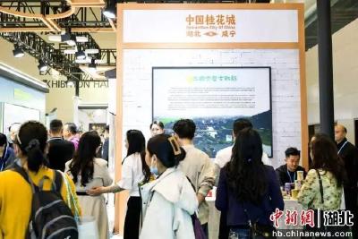 咸宁24家企业组团亮相2026世界大健康博览会