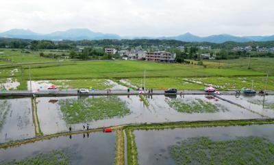 崇阳：不负好春光   田间钓虾忙