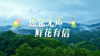 微视 | 思念无声 鲜花有信