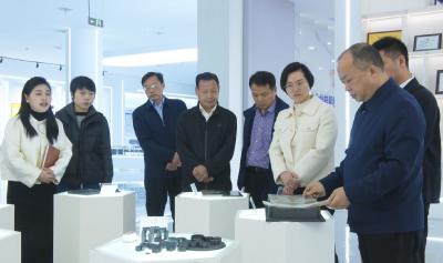 市政协调研组来崇调研五大产业发展情况