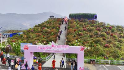 崇阳县路口镇：杜鹃漫山绽芳华   春日游园正当时