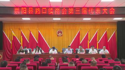 崇阳县路口镇商会选举产生新一届理事会、监事会