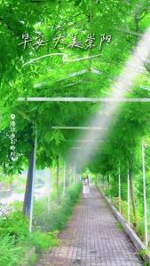 【微视】早安·大美崇阳