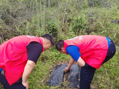 崇阳县高枧乡村民举报有“罂粟”？虚惊一场！