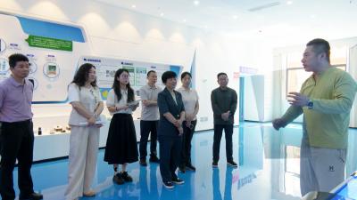 市政协调研组来崇开展“努力构建科技型中小企业快速发展的创新生态”课题调研