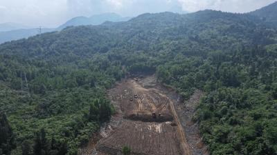 林药共生+种养循环  崇阳县港口乡洞泉村生态种养殖基地开工建设