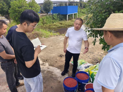 崇阳县大力推广水稻种肥同播“三新”技术