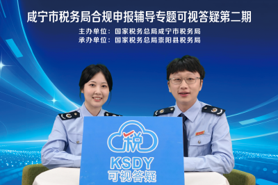 可视答疑赋能办税  合规申报护航发展