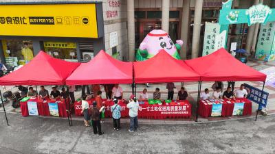 崇阳县开展第36个全国土地日主题宣传活动