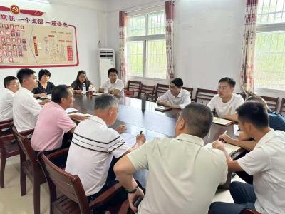 咸宁市民政局调研组到崇阳县蛤蟆石村开展“三农”调研