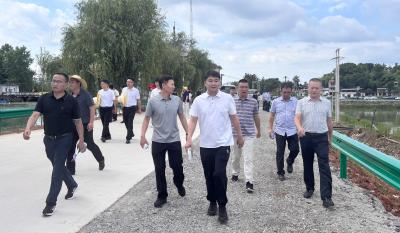 紧盯细节抓筹备  融合发展促文旅  徐望赴青山镇督导龙舟赛事筹备及文旅融合工作