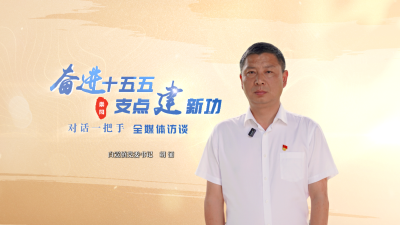 【奋进“十五五” 支点建新功 对话一把手 全媒体访谈③】崇阳县白霓镇：做实项目引擎   绘就融合画卷