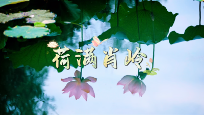 微视 | 荷满肖岭