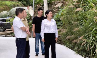 县领导深入部分乡镇调研督办地质灾害隐患治理工作