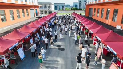 盛夏送岗！崇阳这场招聘会上，860个岗位“职”等你挑！