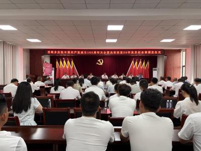 崇阳县肖岭乡：光荣在党五十年  赓续百年新征程