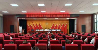 崇阳县路口镇：赓续百年初心  实干践行使命